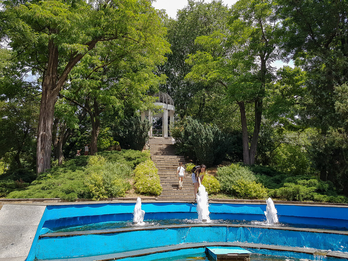 парк горького краснодар. краснодарский ботанический сад. ботанический сад косенко краснодар. ботанический сад косенко краснодар. в какие сады краснодар.