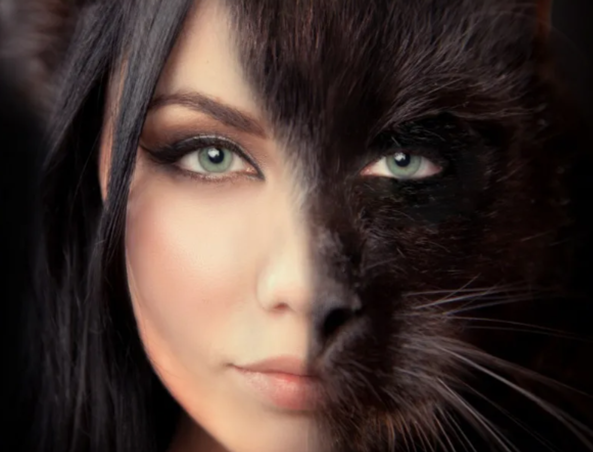 фото в свободном доступе