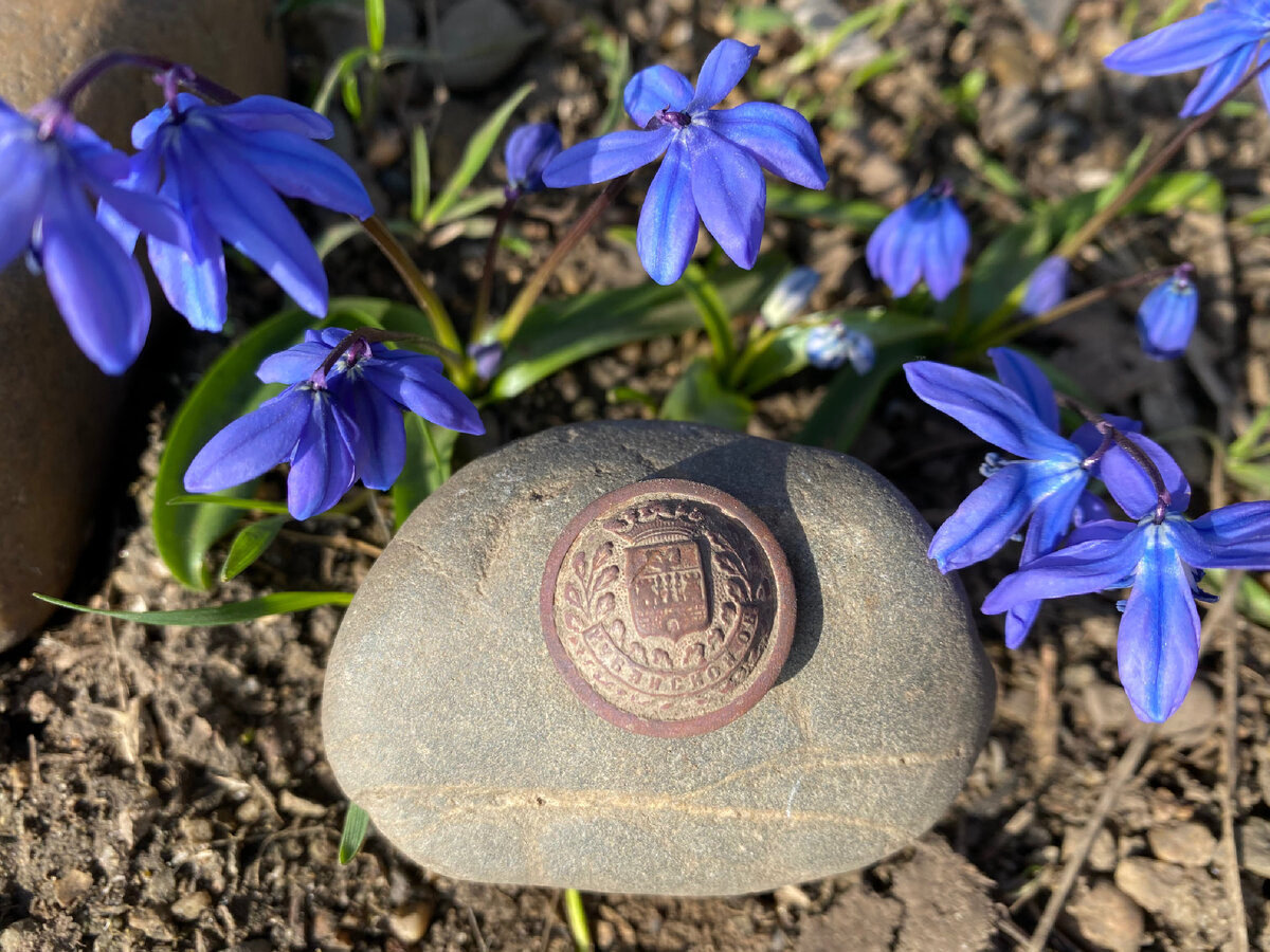 Эта сторона в хорошем сохране. 