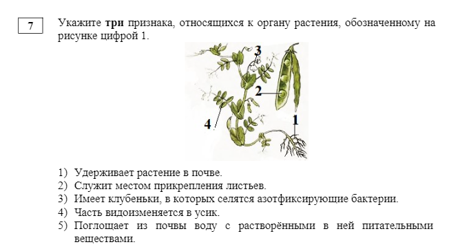 Биология 6 класс рисунок 112