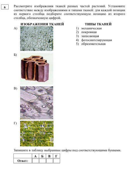 Впр по химии 8 класс 2021. Впр по химии. Впр по химии. Впр химия 8 класс 1 вариант ответы. Впр 8 класс по химии за 2022 год.