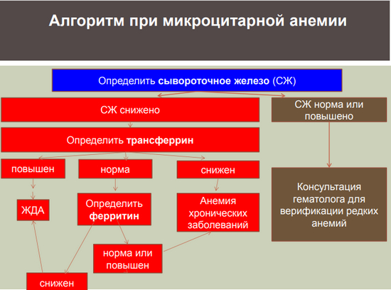 Почему страшен для организма избыток 