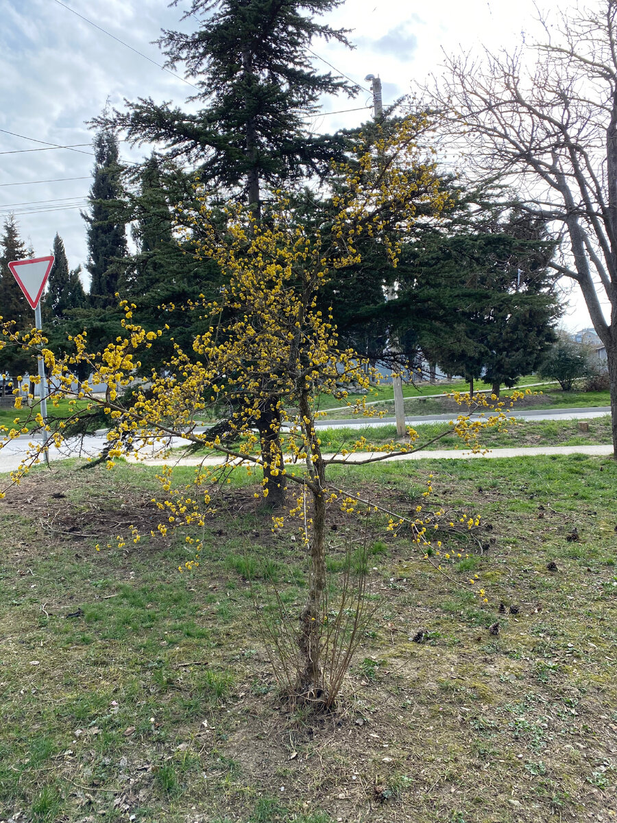 Улицами Балаклавы