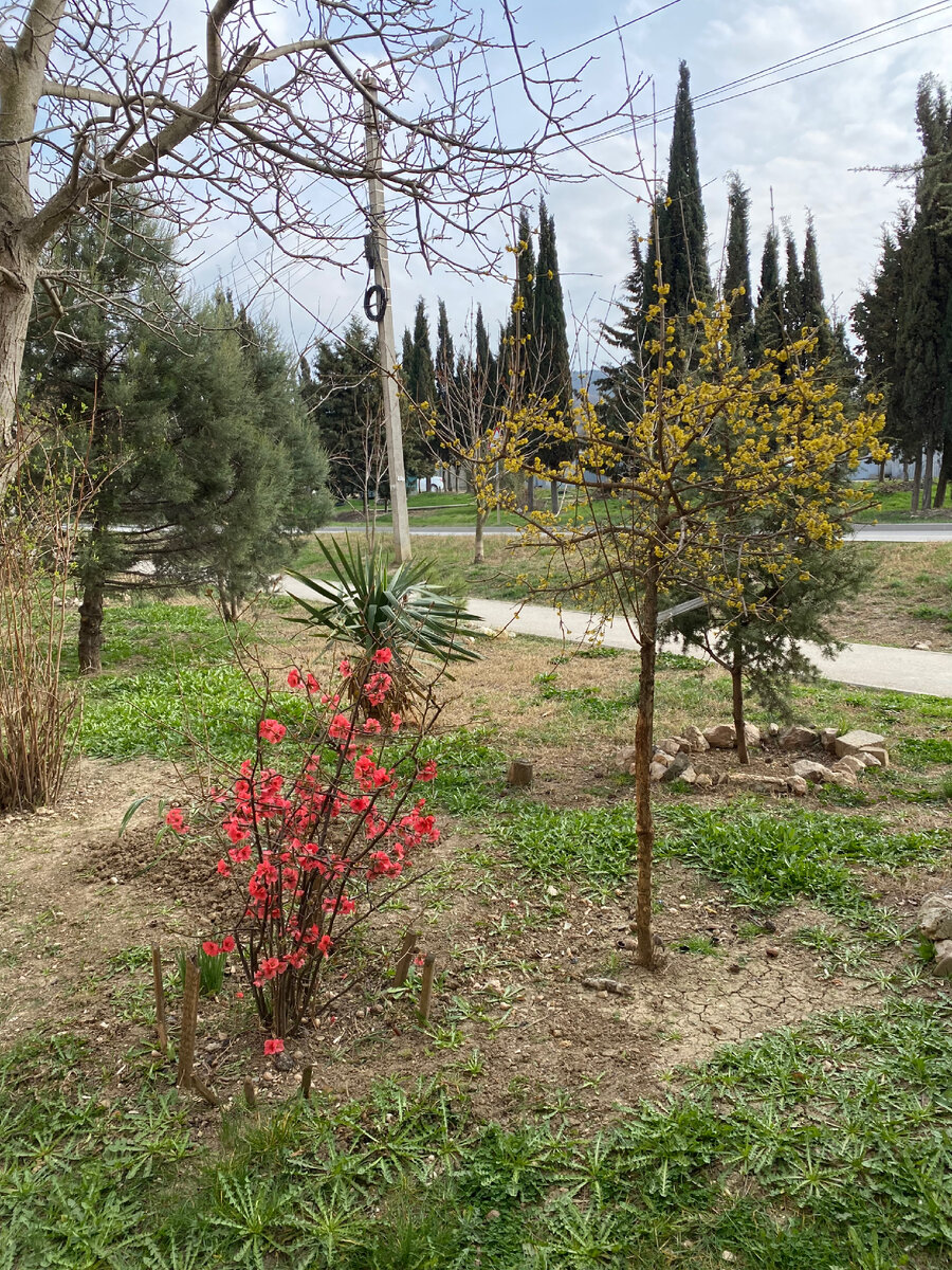 Улицами Балаклавы 