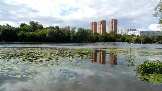 Серебряный Бор летом. У воды