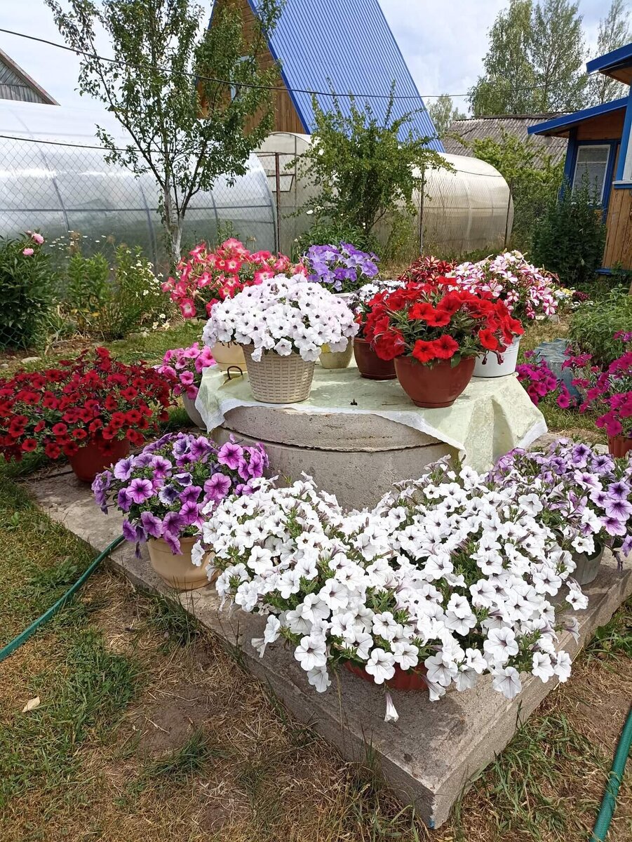 Разнообразие красок