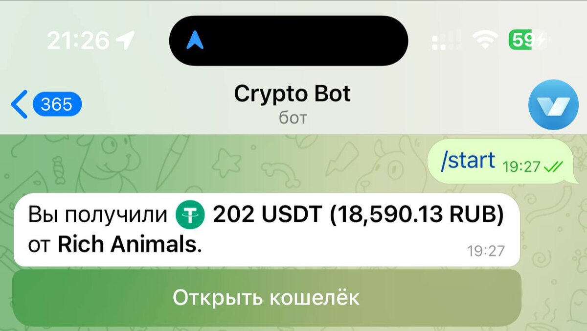 Мой вывод в размере 202$