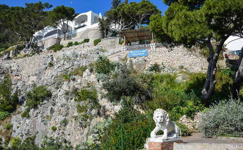 Capri ул максима горького 1д фото