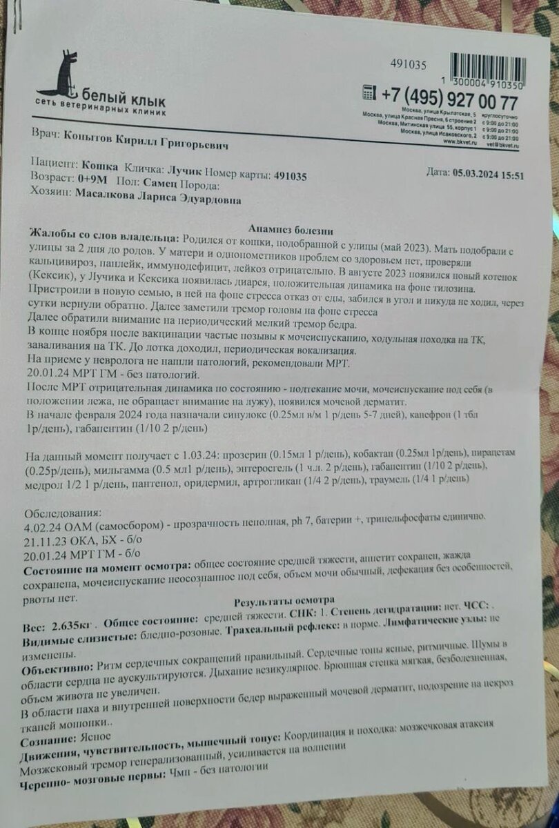 Как Лучик, Кексик и Лариса побывали сегодня у невролога Копытова: процедуры  за 14800 | Между собакой и Богом | Дзен