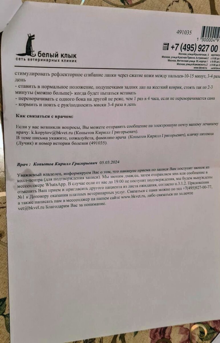 Как Лучик, Кексик и Лариса побывали сегодня у невролога Копытова: процедуры  за 14800 | Между собакой и Богом | Дзен