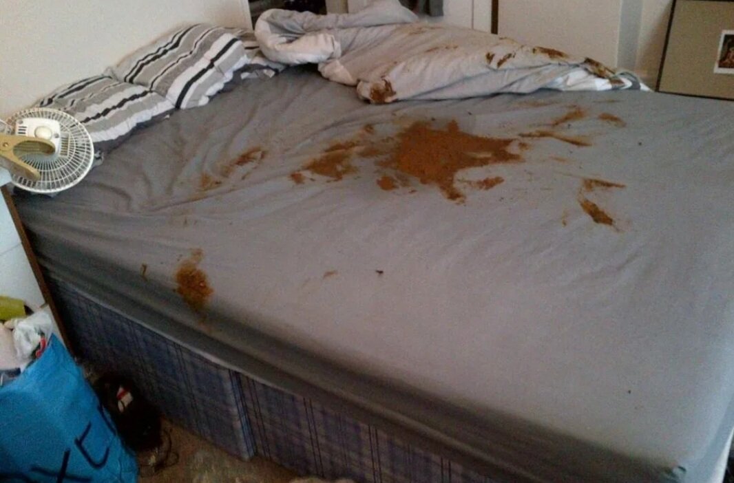 Фото из открытых источников 