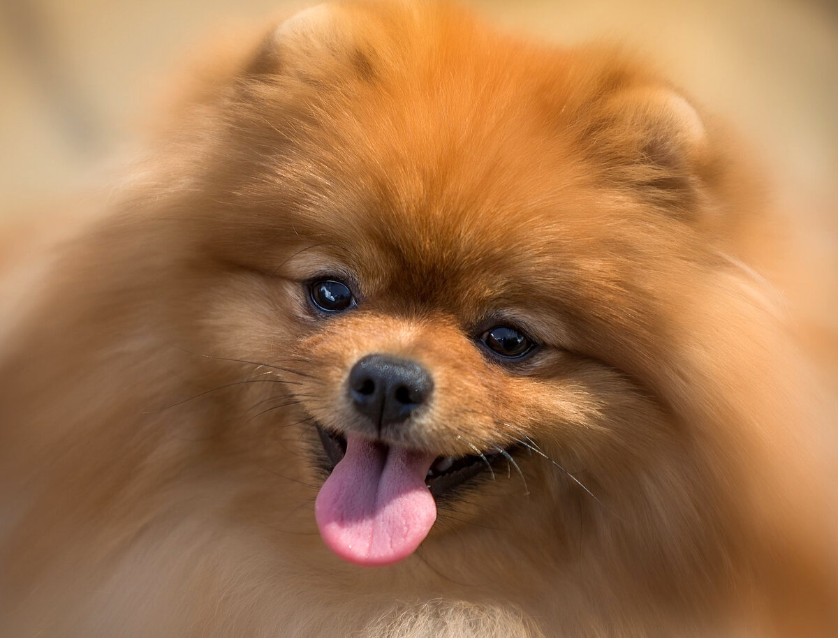 Фото из свободного доступа сети Интернет