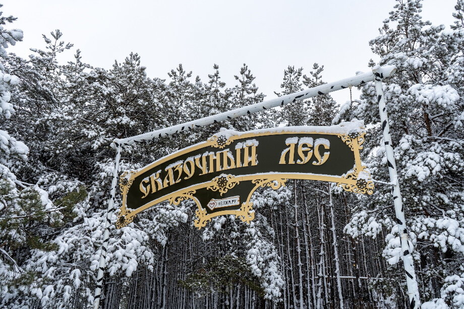 Нелжа рамонский район фото
