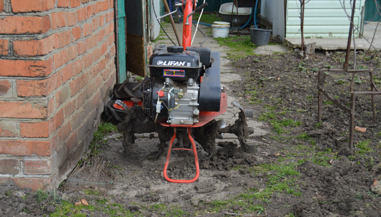 Фото автора. 05.03.2024. Весна пришла на Кубань. Грязи больше чем дела.