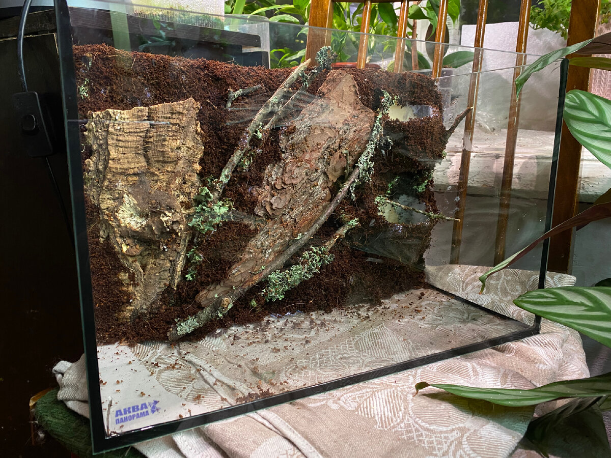 Этап высыхания