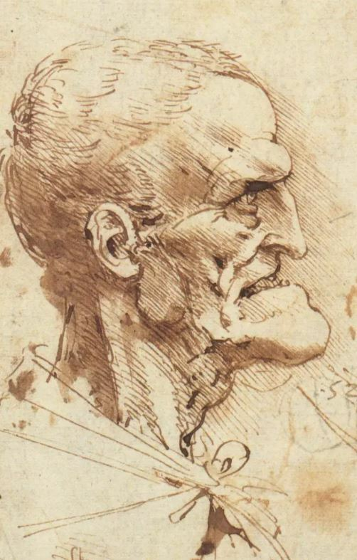 Леонардо да Винчи. Гротескный профиль. 1487. Частное собрание