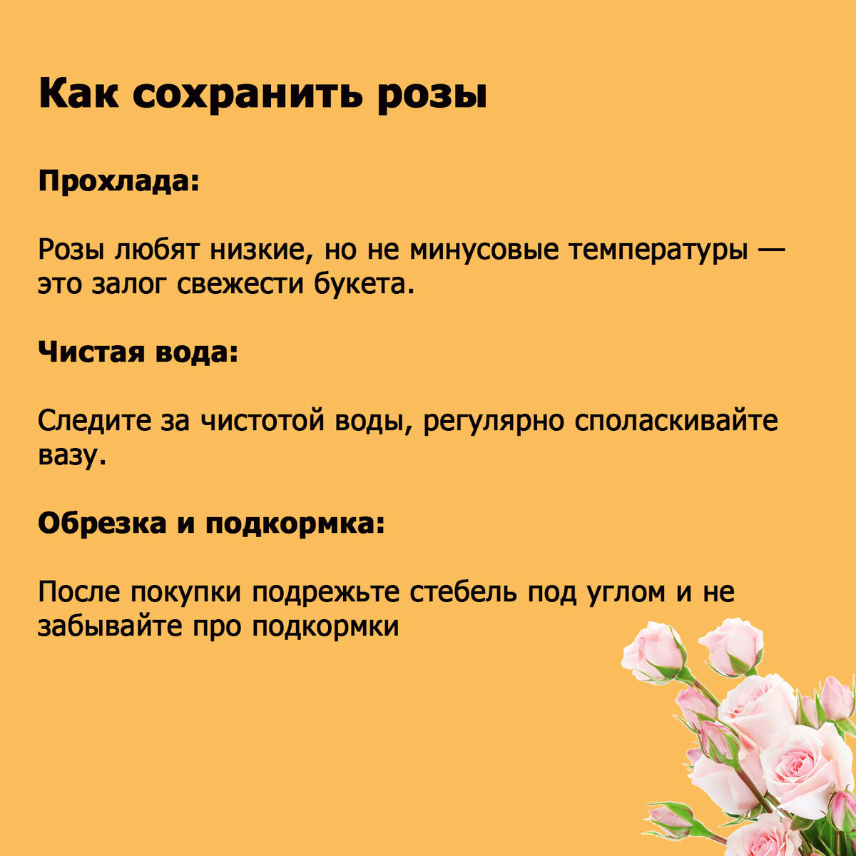 Как продлить жизнь розам в вазе с водой