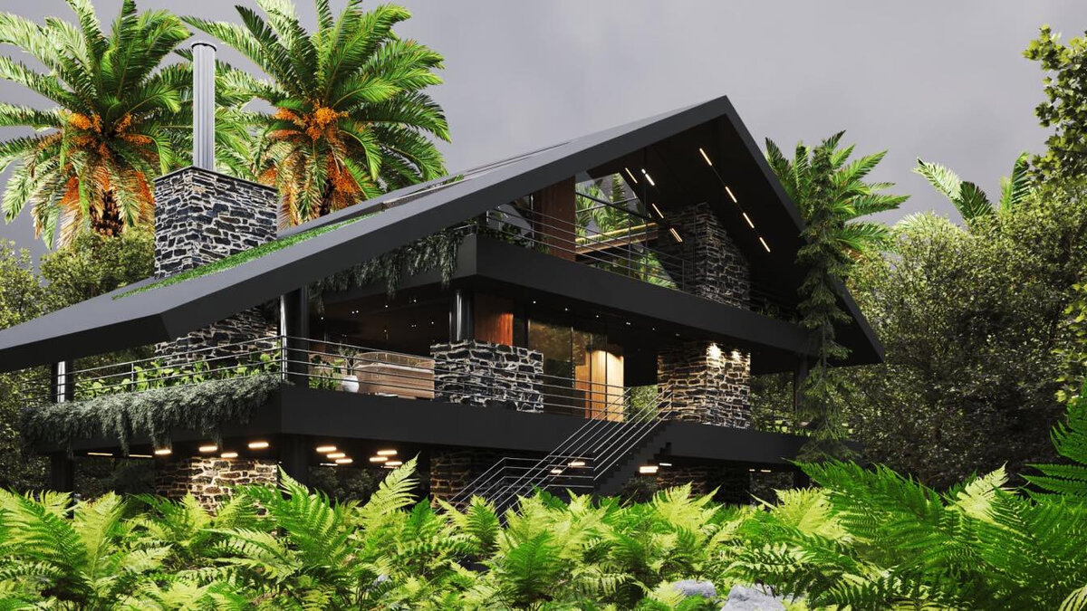 Источник изображения - https://amazingarchitecture.com/storage/5006/responsive-images/black-house-orlando-milad-eshtiyaghi-studio___media_library_original_1344_756.jpg