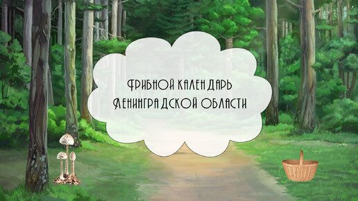 Грибной календарь Ленинградской области