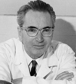    Виктор Франкл Фото: Prof. Dr. Franz Vesely, по лицензии CC BY-SA 3.0