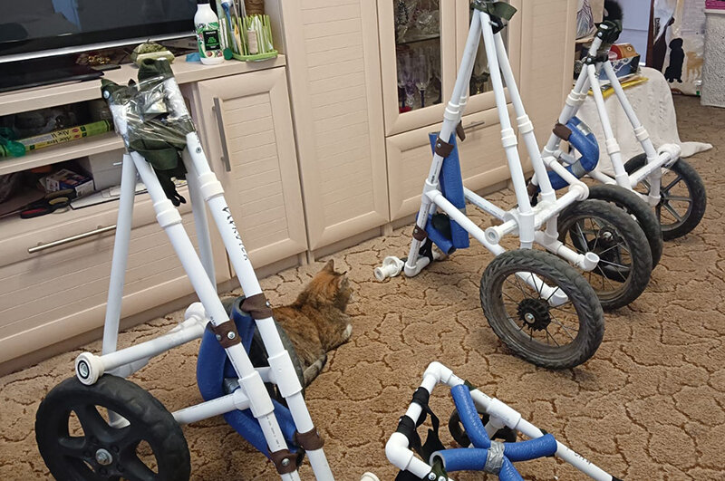    Фото предоставлено героем публикации