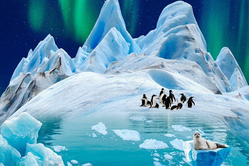     С кем чаще всего враждуют пингвины, зачем они едят камни и другие самые любопытные факты о жизни этих парней в смокинге