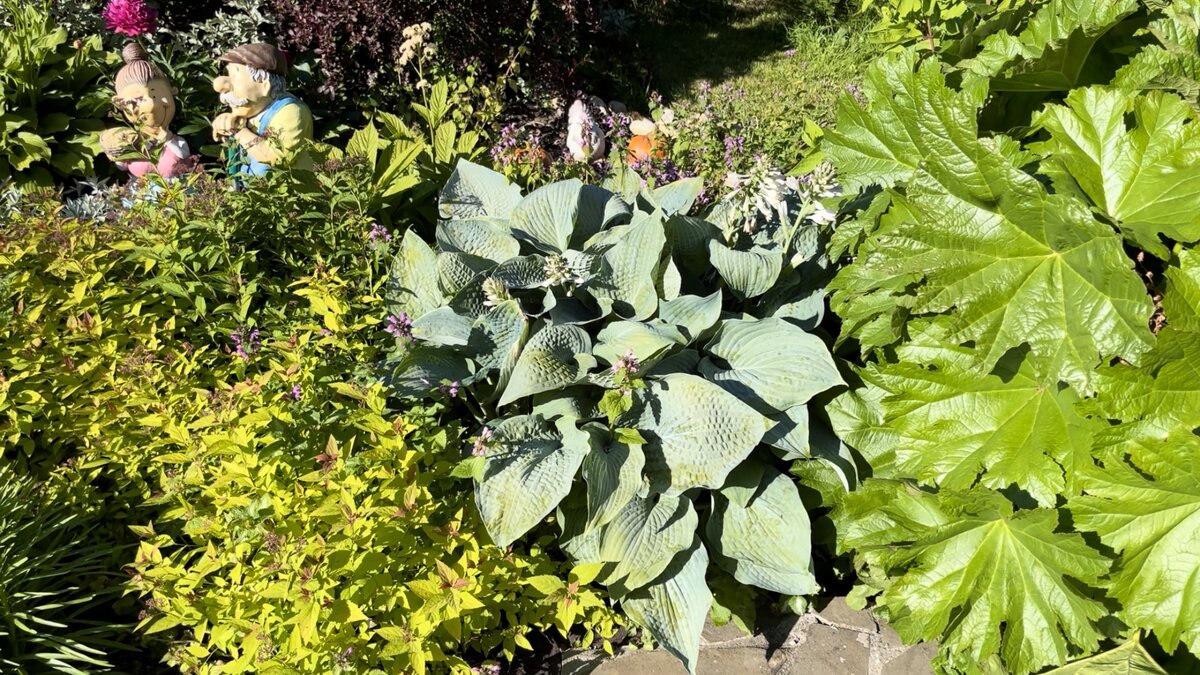 дачный каталог. 1 зодчий. лента каталог мебель для дачи. окей садовая мебель. садовая мебель лента каталог.