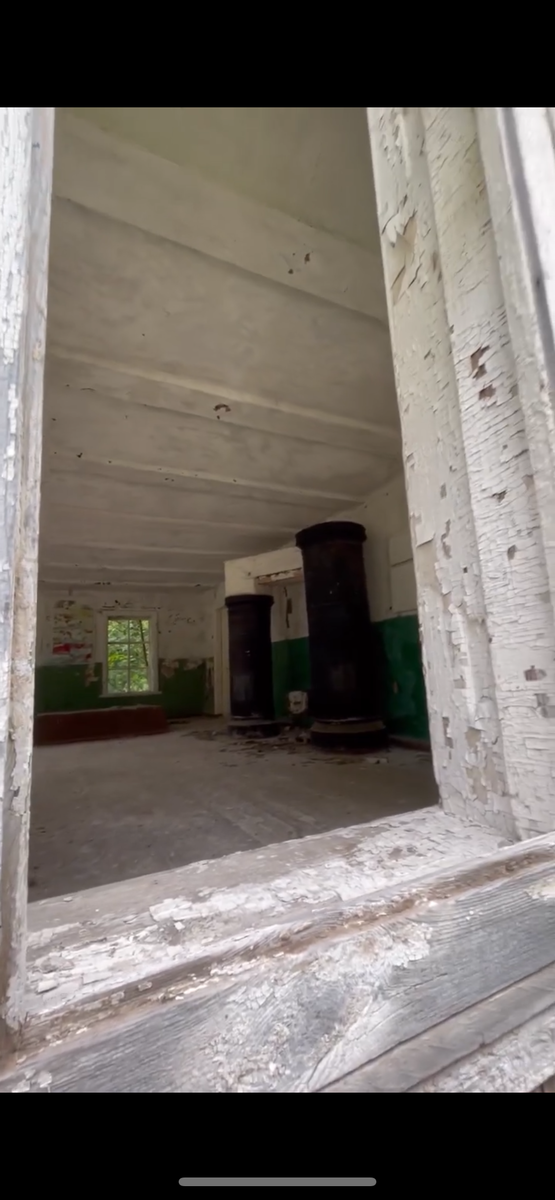 Фото из личного архива Полины Ивановой « д. Ладино» 