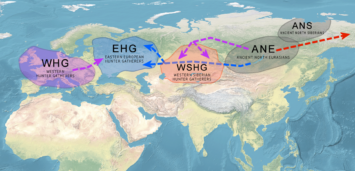 Северные евразийцы. Ane евразийцы древние Северные. North Eurasia. Ancient North Band. North of the Eurasian supercontinent..