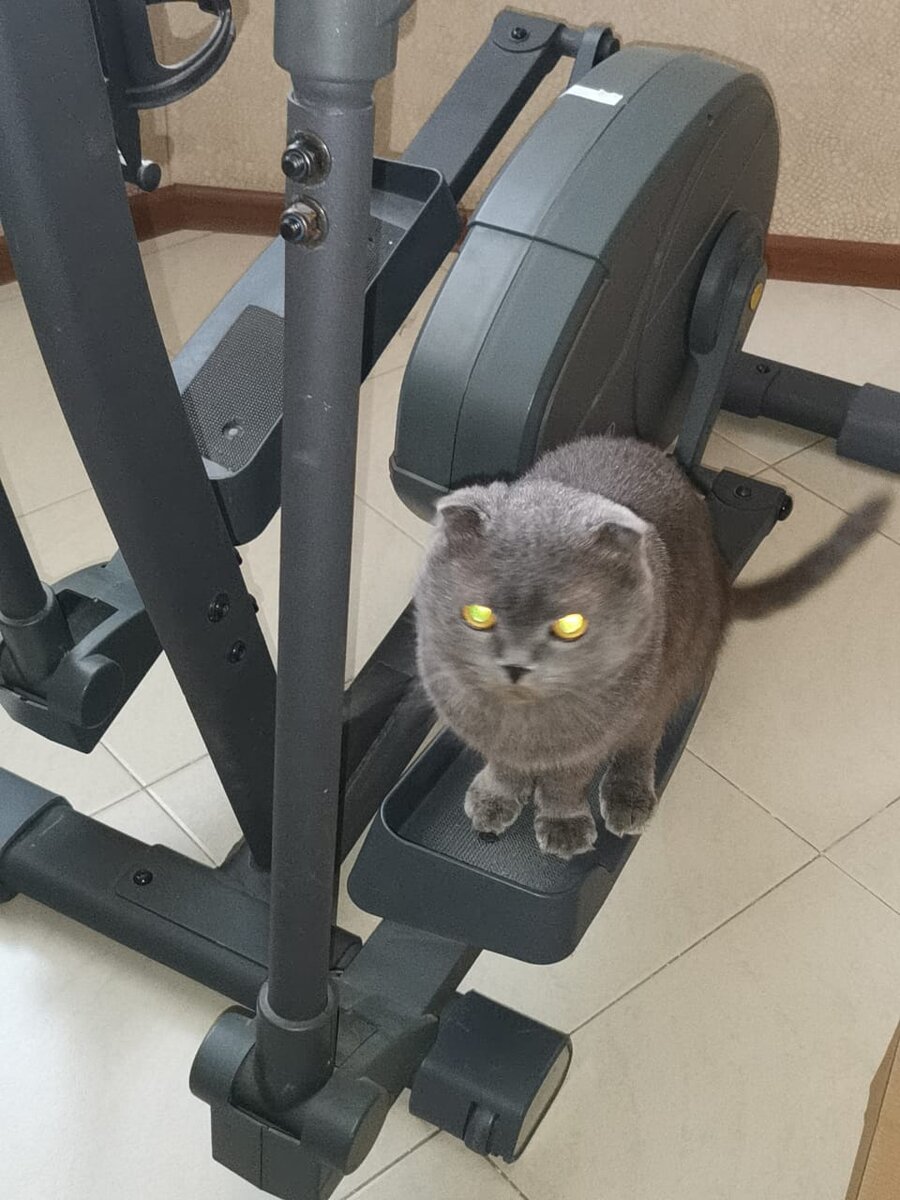 Мой котейка, тоже одобряет.