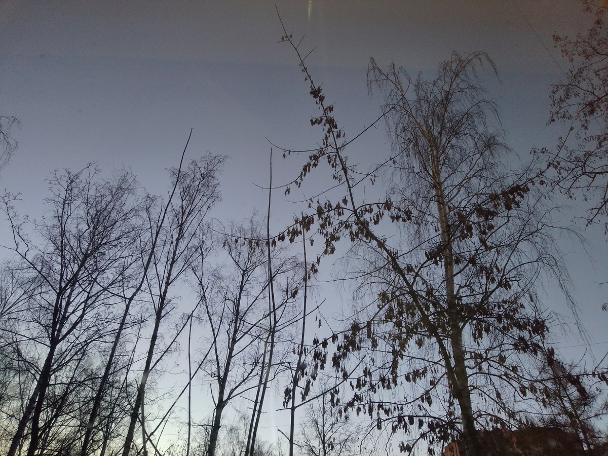 Фото автора. Утро