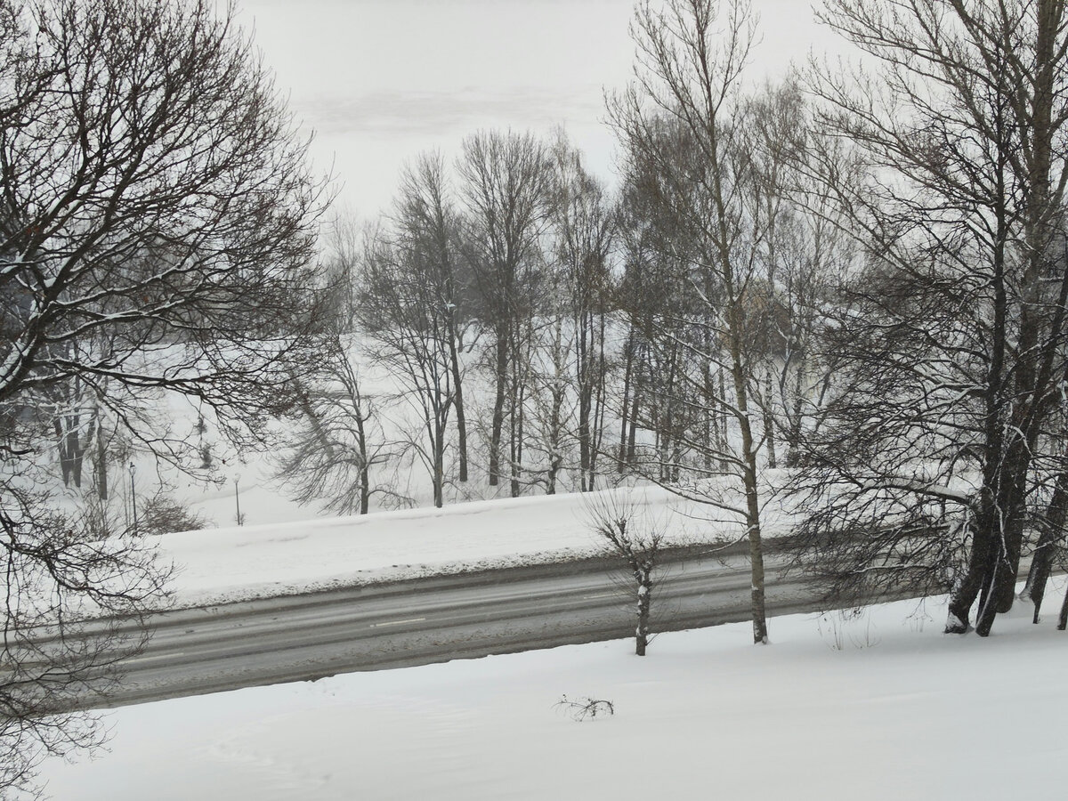 николаевка павловский район воронежская область. агроэко павловск. аннинский район. , терновский р-н, с. николаевка амурская область тамбовский район.
