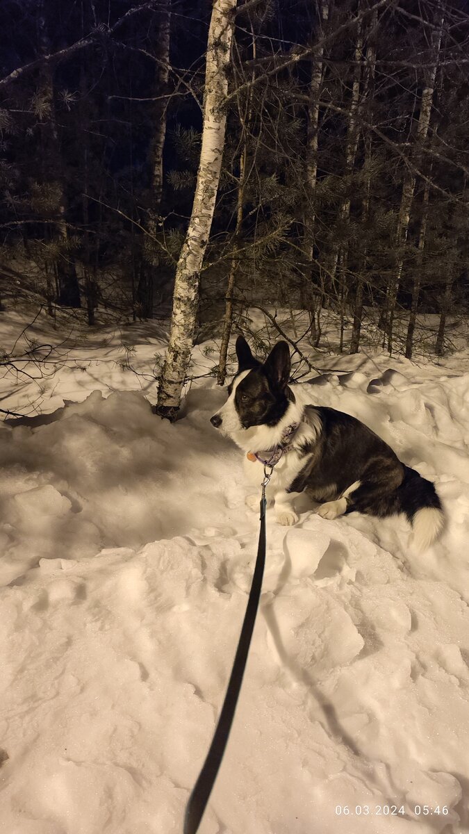 Рис. 2. Прислушиваюсь. Гнома-матерщинника можно отличить по звукам.