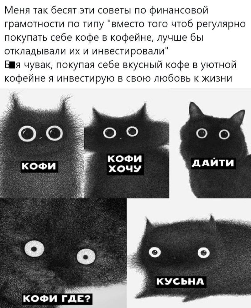 До кофе после кофе мем с котом Среда традиционная, о том, что бесит Tолковая Алина Дзен