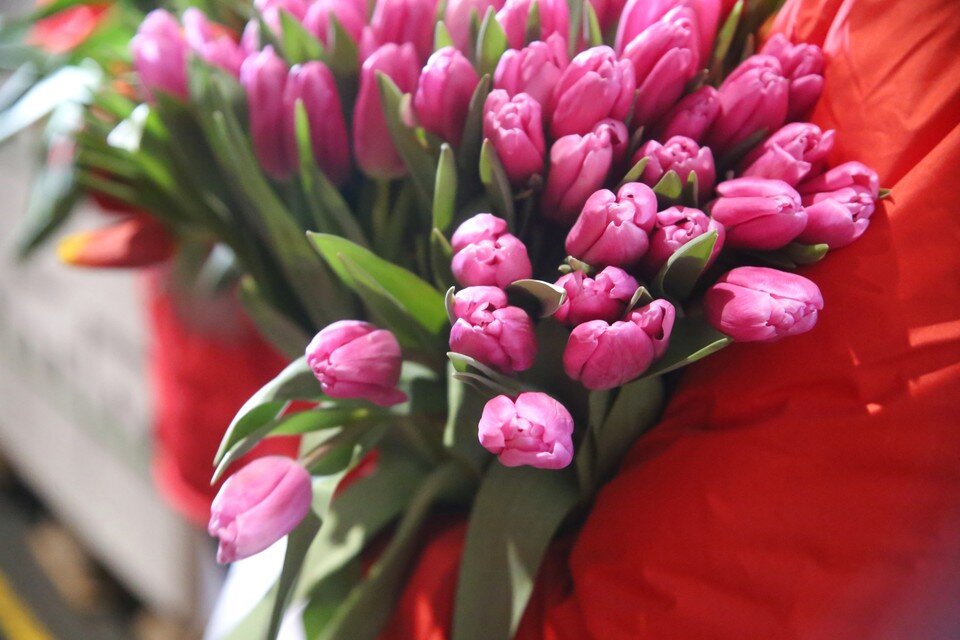 Схема упаковки букета. Памятка для ухода за мыльным букетом. Срезанные цветы. Букет тюльпанов в вазе. Букет тюльпанов в вазе.