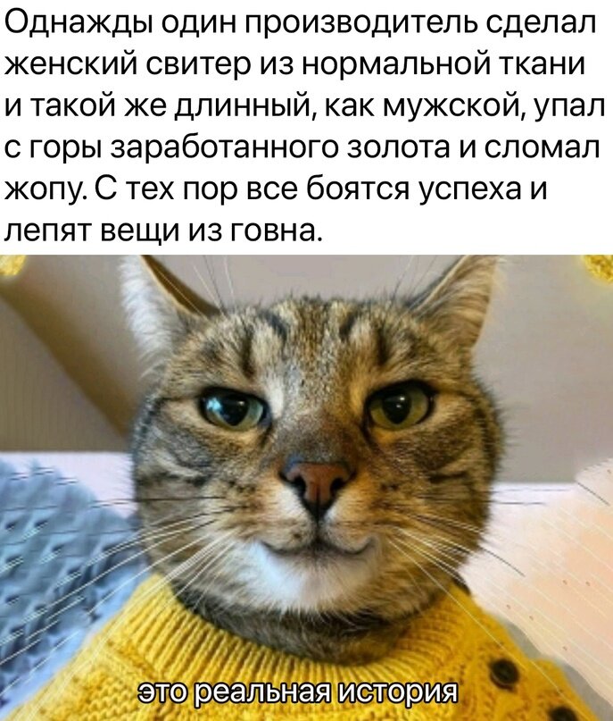 Похоже на правду