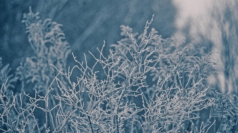 Светлана Мулькина📷
