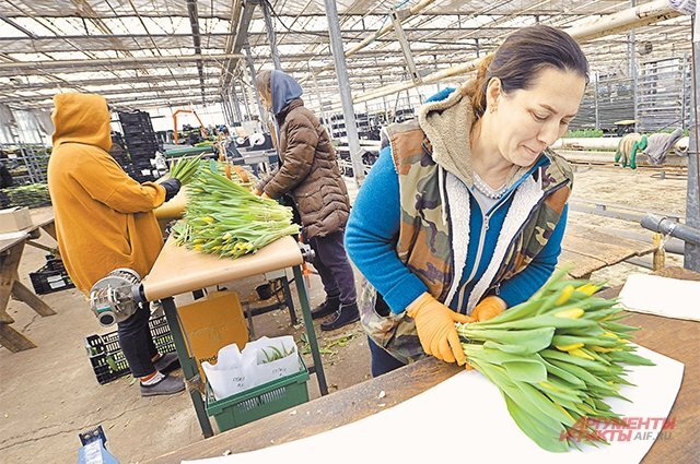    Где в Москве дешевле всего купить цветы к 8 марта?
