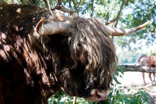   Фото из архива Калининград.Ru