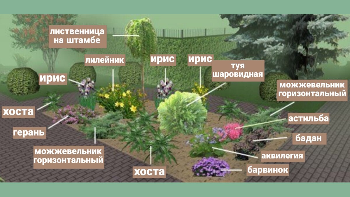 5 вариантов клумб непрерывного цветения со схемами и небольшим описанием |  У-Дачная жизнь | Дзен