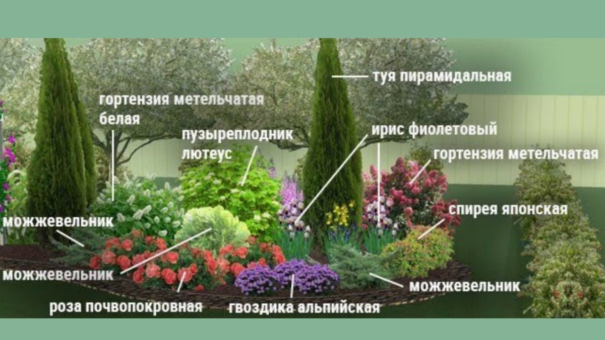 5 вариантов клумб непрерывного цветения со схемами и небольшим описанием |  У-Дачная жизнь | Дзен