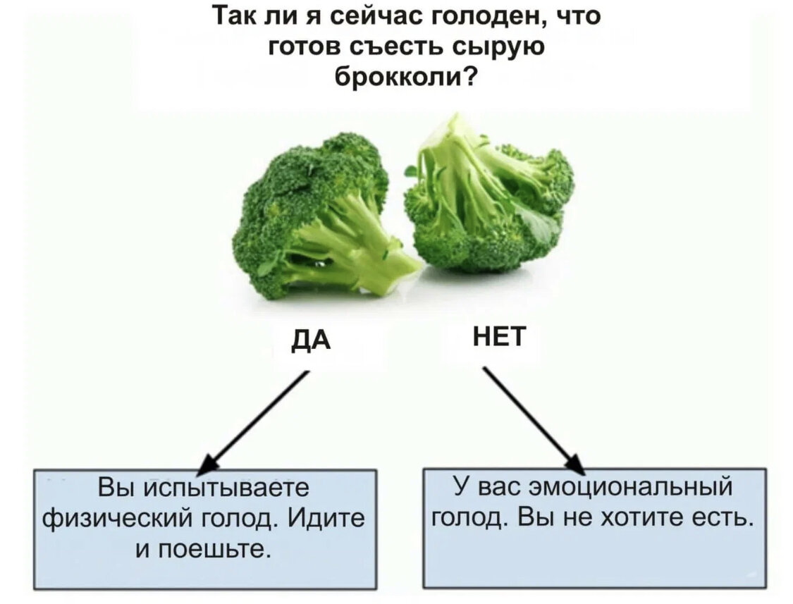 Почему я голодный. Физиологический и эмоциональный голод. Отличить физический голод от эмоционального. Признаки физического голода. Как определить физический голод от эмоционального.