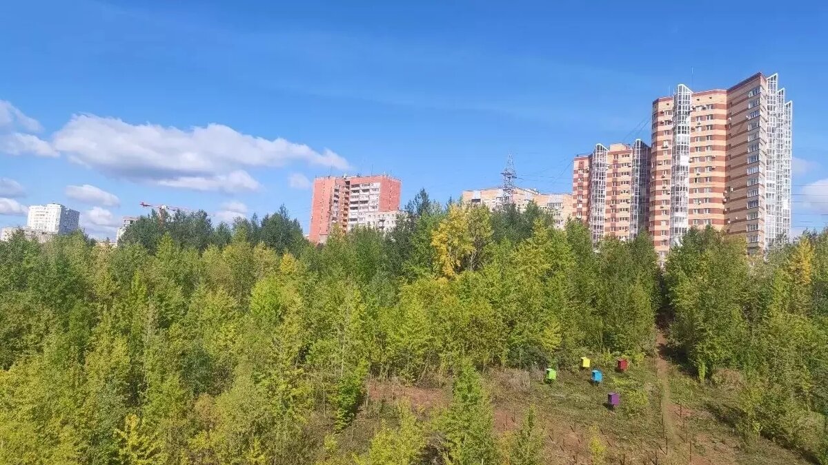     Подрядчиком выступит ООО «Дорспецстрой».