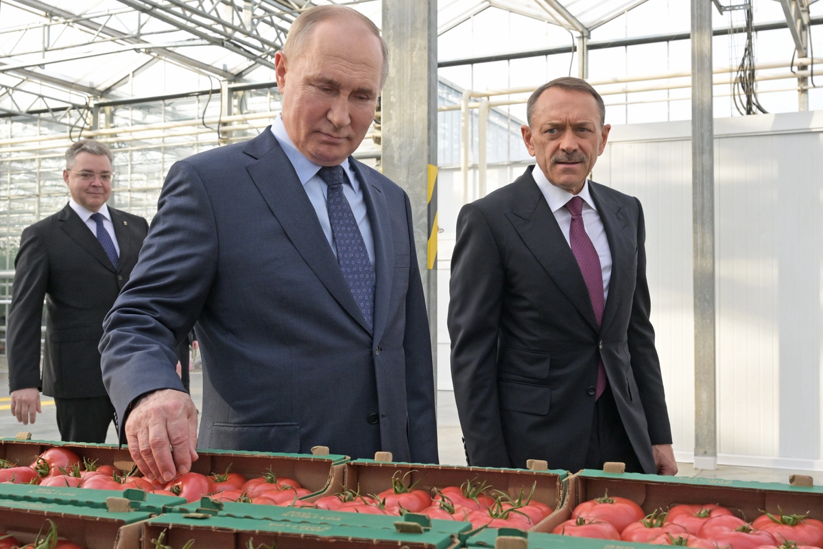 Владимир Путин. Источник изображения: сайт rg.ru