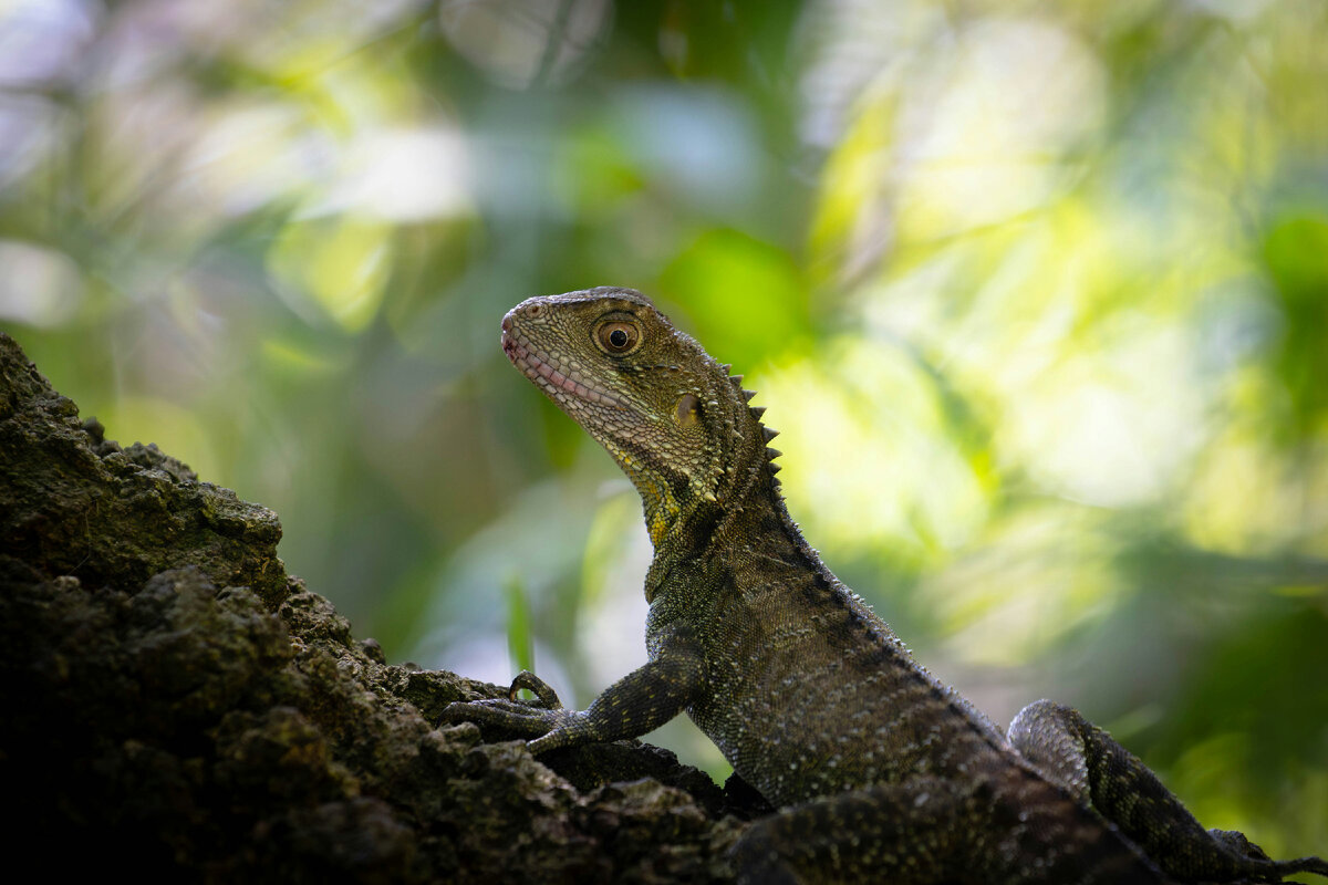 Картинка с бесплатного фотостока https://unsplash.com, автор Jack McCracken