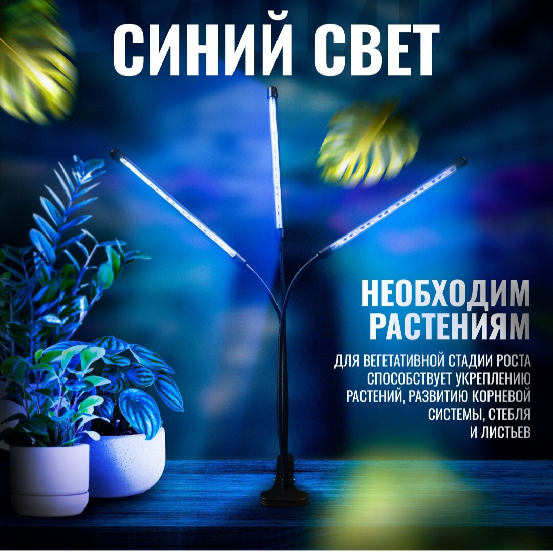 Фото с озон