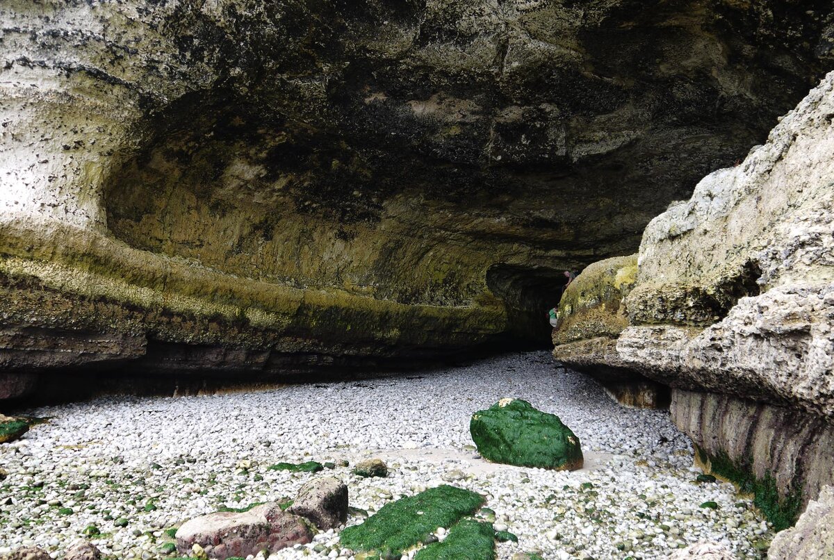 Два океана в аляскинском заливе. Человек на берегу моря. Предложение со словом несли. Парень на море. Человек сидит на берегу моря.