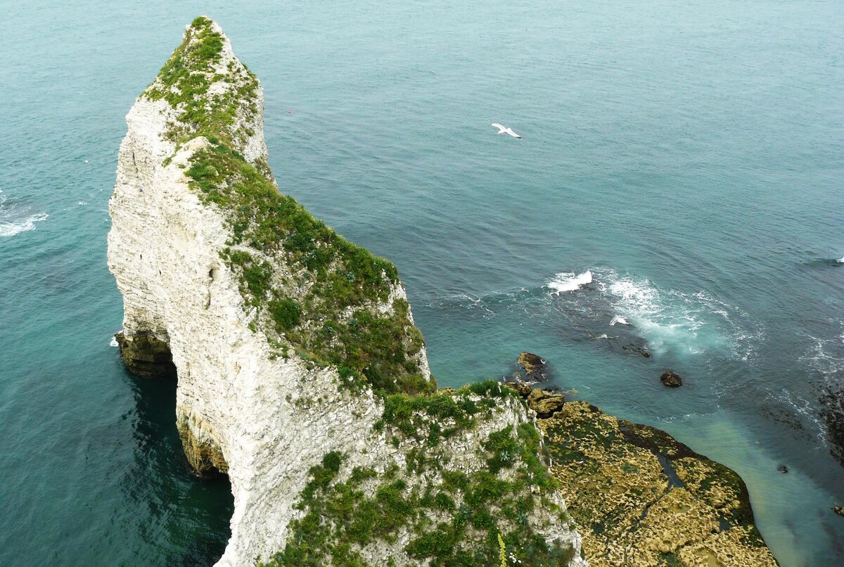 тропу не вижу