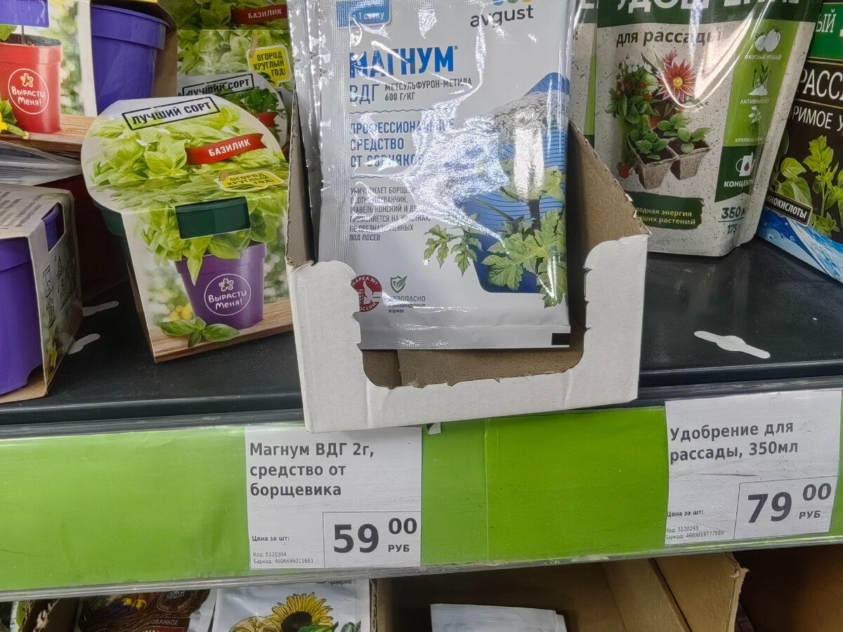 Магнум притаился между безобидными базиликом и удобрением. 