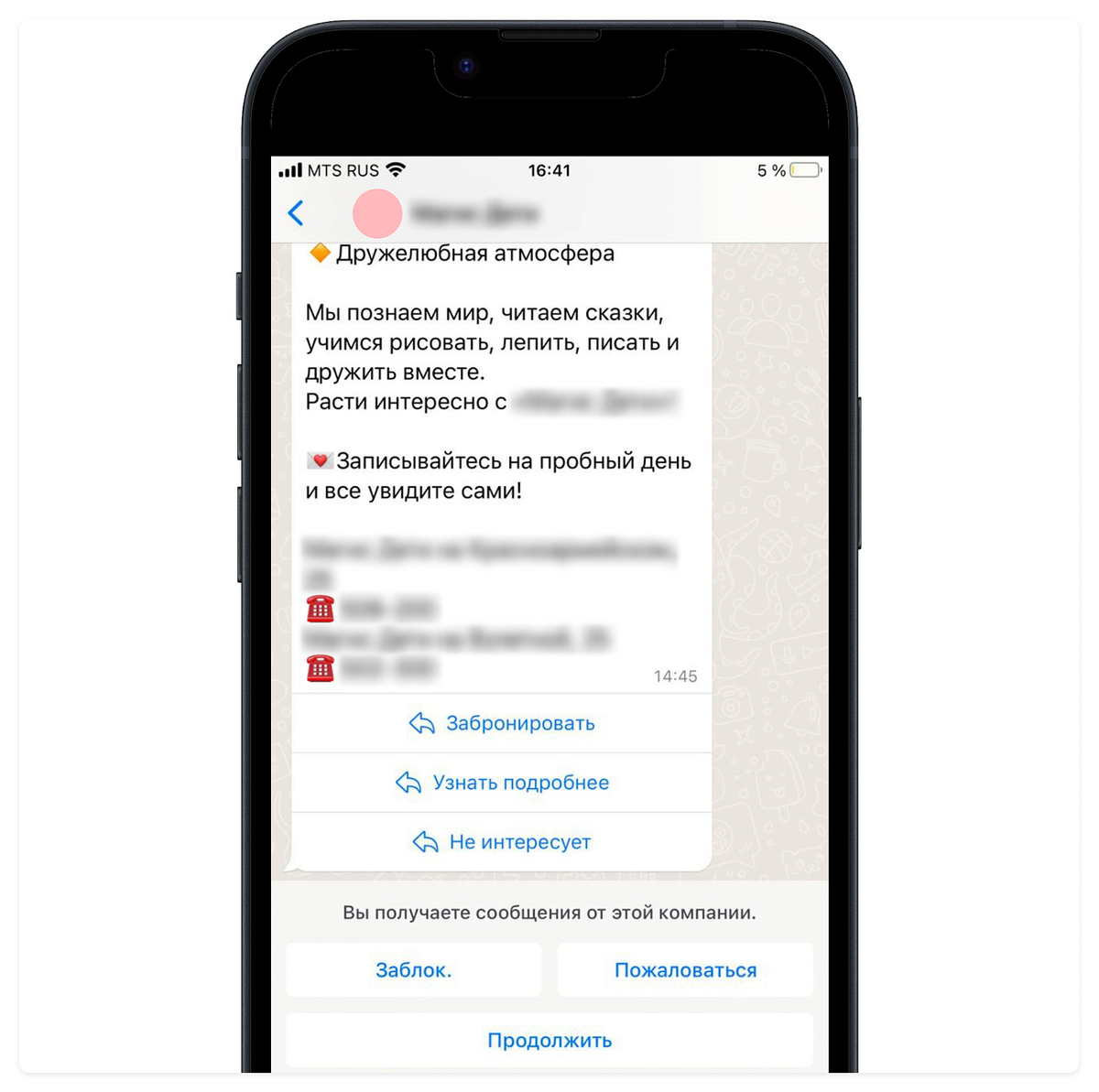 Рассылки в WhatsApp: преимущества этого эффективного инструмента и основные шаги для их успешного запуска